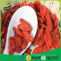 cheap price good Quality Dried Goji berry from China